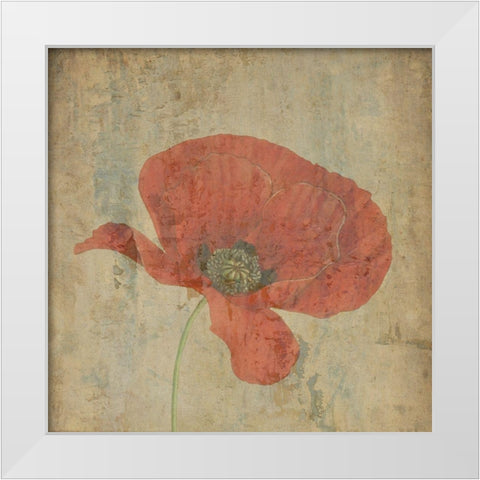 Painted Garden 2 White Modern Wood Framed Art Print by Phillip, Jamie