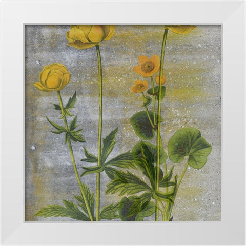 Wild Garden White Modern Wood Framed Art Print by Phillip, Jamie