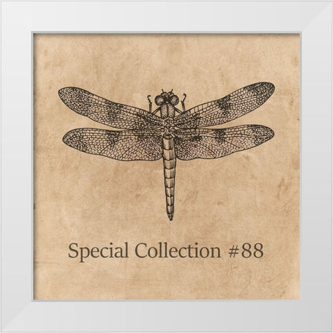 Special Collection 88 White Modern Wood Framed Art Print by Phillip, Jamie