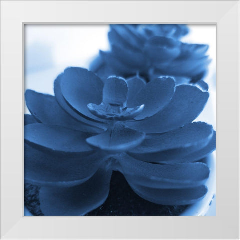 Succulent Photography 1 White Modern Wood Framed Art Print by Phillip, Jamie