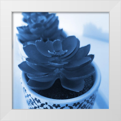 Succulent Photography 2 White Modern Wood Framed Art Print by Phillip, Jamie
