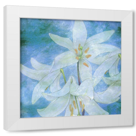 Aqua Bloom White Modern Wood Framed Art Print by Phillip, Jamie