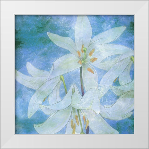 Aqua Bloom White Modern Wood Framed Art Print by Phillip, Jamie