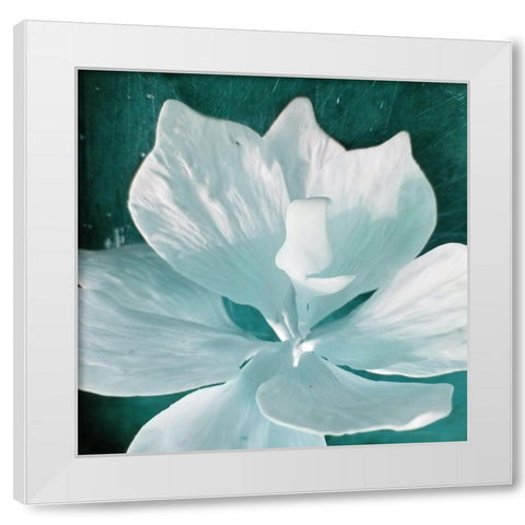 Blue Orchid White Modern Wood Framed Art Print by Phillip, Jamie
