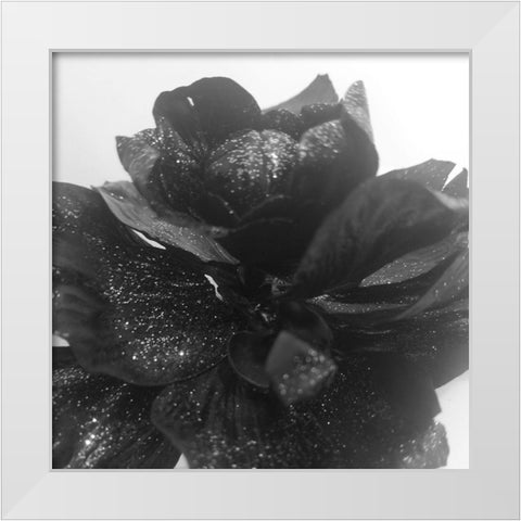 Black Rose Gold White Modern Wood Framed Art Print by Phillip, Jamie