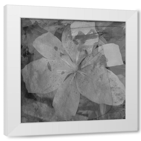 Love in The Garden 3 White Modern Wood Framed Art Print by Phillip, Jamie