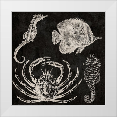 Sea Adventure White Modern Wood Framed Art Print by Phillip, Jamie