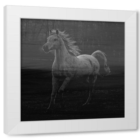 Misty Horse White Modern Wood Framed Art Print by