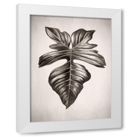 Verdure III Sepia White Modern Wood Framed Art Print by Urban Road