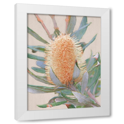 Golden Banksia Art Print White Modern Wood Framed Art Print by Urban Road