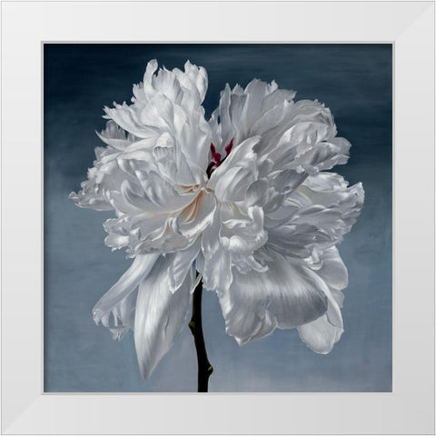 Blomst White Modern Wood Framed Art Print by Urban Road