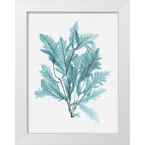 Aruba Turquoise Poster White Modern Wood Framed Art Print by Urban Road