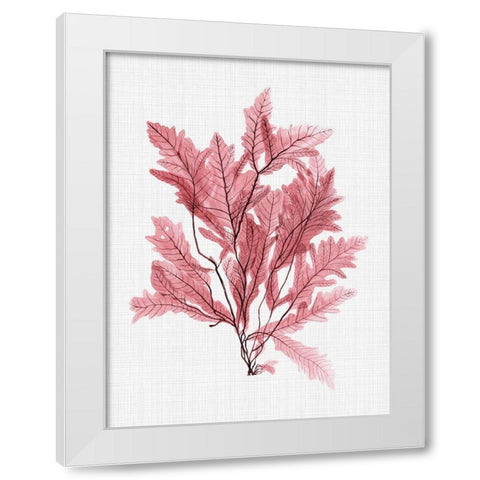 Aruba Blush Poster White Modern Wood Framed Art Print by Urban Road