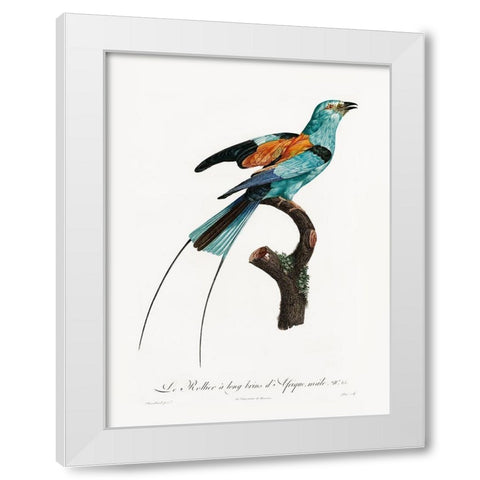 Songbird I Poster White Modern Wood Framed Art Print by Urban Road