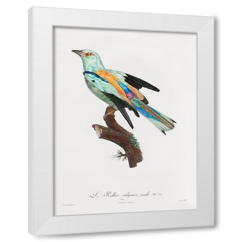 Songbird II Poster White Modern Wood Framed Art Print by Urban Road