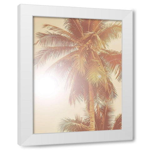 Sunkissed Palm Poster White Modern Wood Framed Art Print by Urban Road
