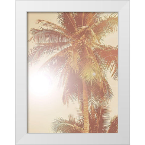 Sunkissed Palm Poster White Modern Wood Framed Art Print by Urban Road