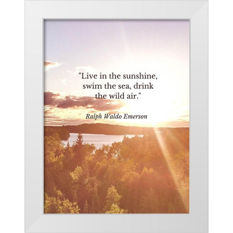 Ralph Waldo Emerson Quote: Swim the Sea White Modern Wood Framed Art Print by ArtsyQuotes