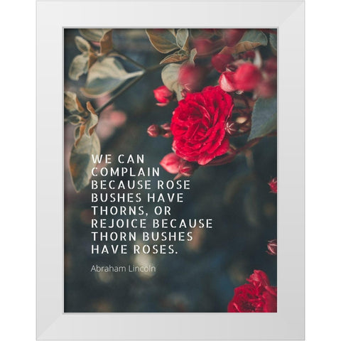 Abraham Lincoln Quote: Bushes have Thorns White Modern Wood Framed Art Print by ArtsyQuotes
