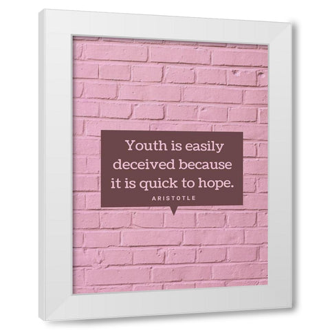 Aristotle Quote: Youth White Modern Wood Framed Art Print by ArtsyQuotes