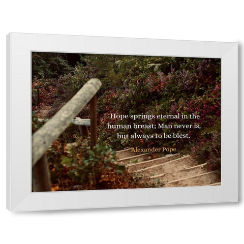 Alexander Pope Quote: Hope Springs Eternal White Modern Wood Framed Art Print by ArtsyQuotes