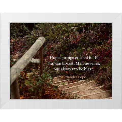 Alexander Pope Quote: Hope Springs Eternal White Modern Wood Framed Art Print by ArtsyQuotes