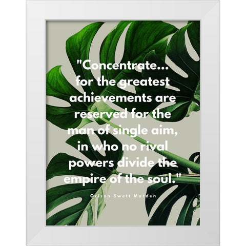 Orison Swett Marden Quote: Concentrate White Modern Wood Framed Art Print by ArtsyQuotes