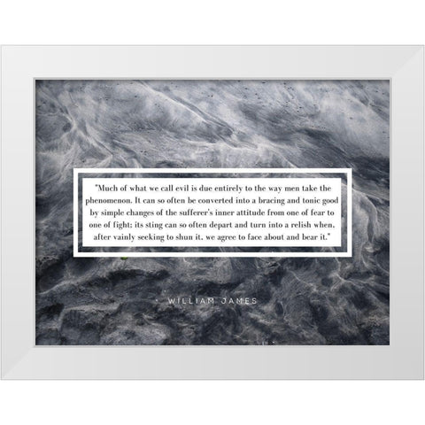 William James Quote: Phenomenon White Modern Wood Framed Art Print by ArtsyQuotes