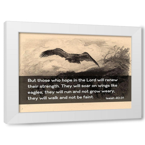 Bible Verse Quote Isaiah 40:31, Karl Bodmer - Eagle Flying White Modern Wood Framed Art Print by ArtsyQuotes