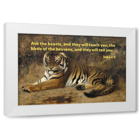 Bible Verse Quote Job 12:7, Jean-Leon Gerome - Tiger II White Modern Wood Framed Art Print by ArtsyQuotes