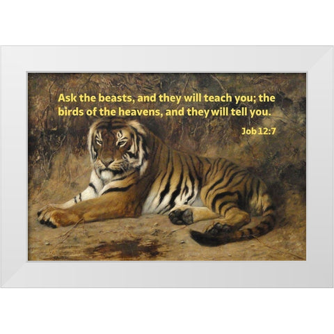 Bible Verse Quote Job 12:7, Jean-Leon Gerome - Tiger II White Modern Wood Framed Art Print by ArtsyQuotes