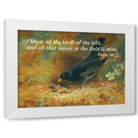 Bible Verse Quote Psalm 50:11, Archibald Thorburn - Blackbird White Modern Wood Framed Art Print by ArtsyQuotes