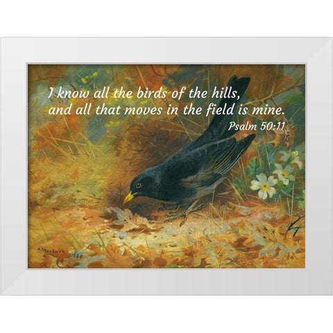 Bible Verse Quote Psalm 50:11, Archibald Thorburn - Blackbird White Modern Wood Framed Art Print by ArtsyQuotes