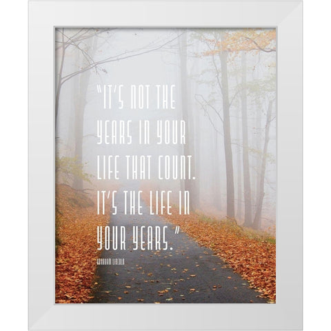 Abraham Lincoln Quote: Life in Your Years White Modern Wood Framed Art Print by ArtsyQuotes