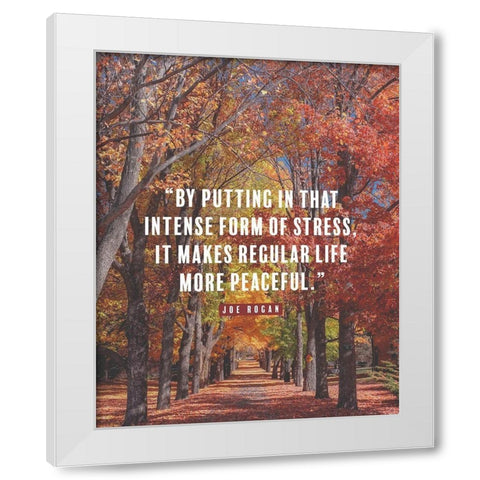 Joe Rogan Quote: Regular Life White Modern Wood Framed Art Print by ArtsyQuotes