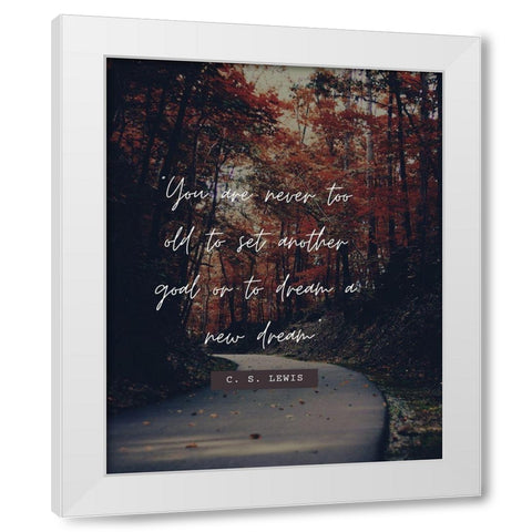 C. S. Lewis Quote: Never Too Old White Modern Wood Framed Art Print by ArtsyQuotes