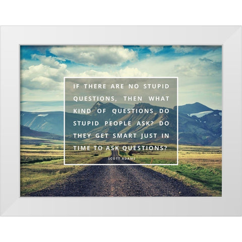 Scott Adams Quote: No Stupid Questions White Modern Wood Framed Art Print by ArtsyQuotes