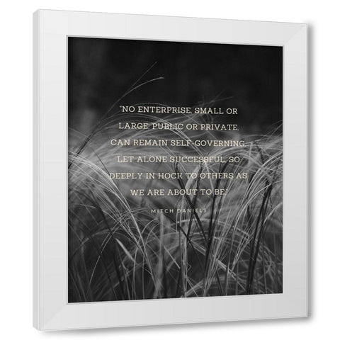 Mitch Daniels Quote: Public or Private White Modern Wood Framed Art Print by ArtsyQuotes