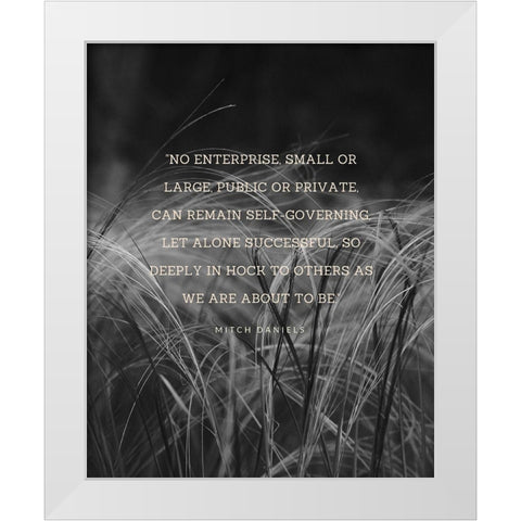 Mitch Daniels Quote: Public or Private White Modern Wood Framed Art Print by ArtsyQuotes