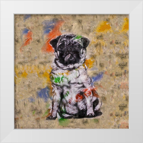 Colorful Dog III Square White Modern Wood Framed Art Print by Wiley, Marta