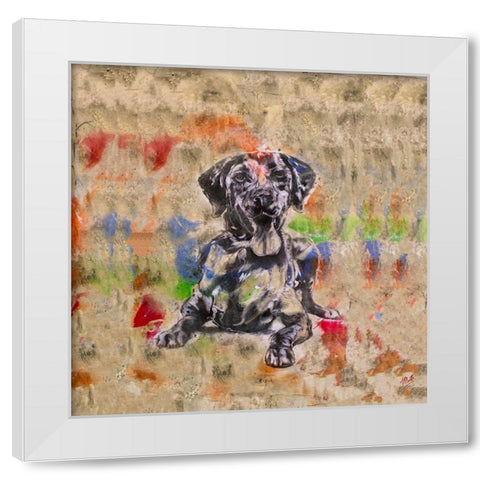 Colorful Dog IV Square White Modern Wood Framed Art Print by Wiley, Marta