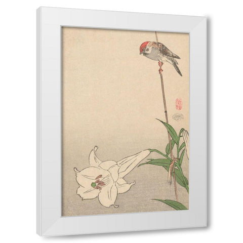 Small bird on lily plant., 1893 White Modern Wood Framed Art Print by Baison