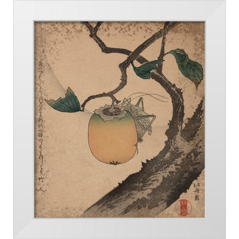 Grasshopper eating persimmon, 1850 White Modern Wood Framed Art Print by Hokusai