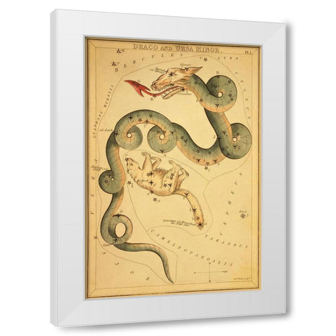 Draco and Ursa Minor, 1825 White Modern Wood Framed Art Print by Aspin, Jehoshaphat