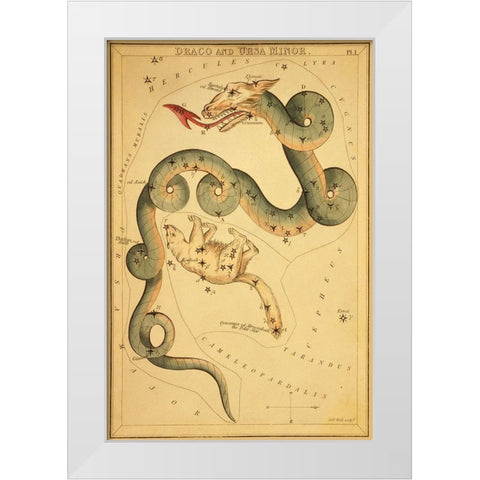 Draco and Ursa Minor, 1825 White Modern Wood Framed Art Print by Aspin, Jehoshaphat