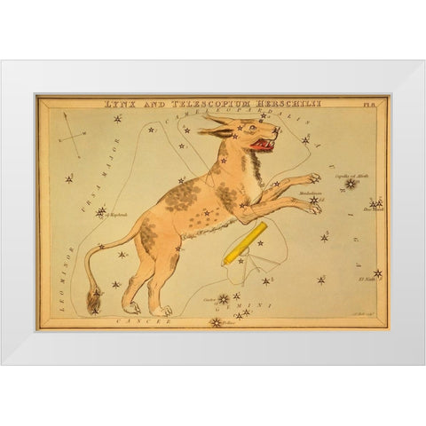 Lynx and Telescopium Herschilii, 1825 White Modern Wood Framed Art Print by Aspin, Jehoshaphat