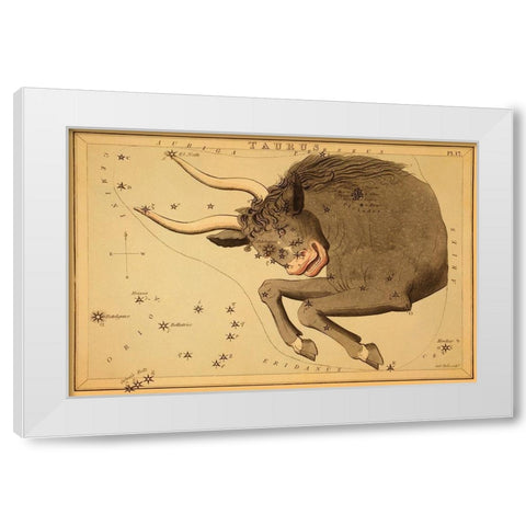Taurus the Bull, 1825 White Modern Wood Framed Art Print by Aspin, Jehoshaphat