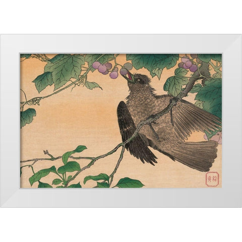 Bird Eating a Grape White Modern Wood Framed Art Print by Kesai, Kuwagata