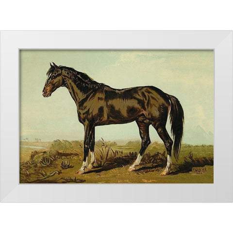Dongola Horse, 1900 White Modern Wood Framed Art Print by Sidney, Samuel