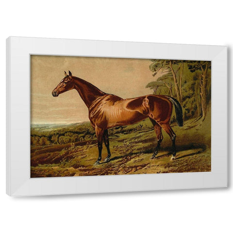 Fair Nell, 1900 White Modern Wood Framed Art Print by Sidney, Samuel